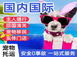 张掖甘州航空邮寄国际宠物托运 【国